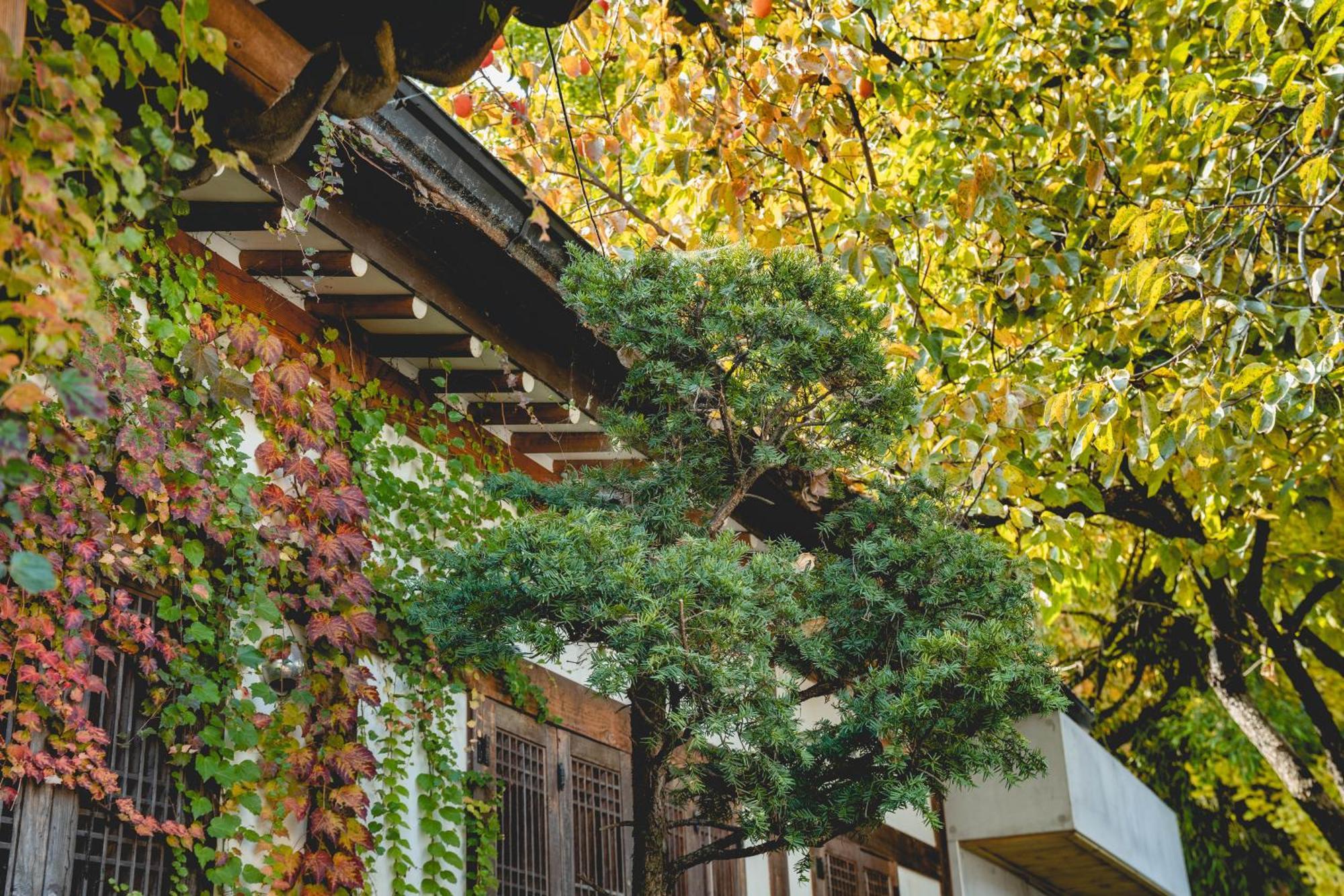Hotelarrive Jeonju Sihwayeonpung Eksteriør billede